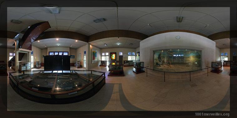 Panography in print mode : Museum